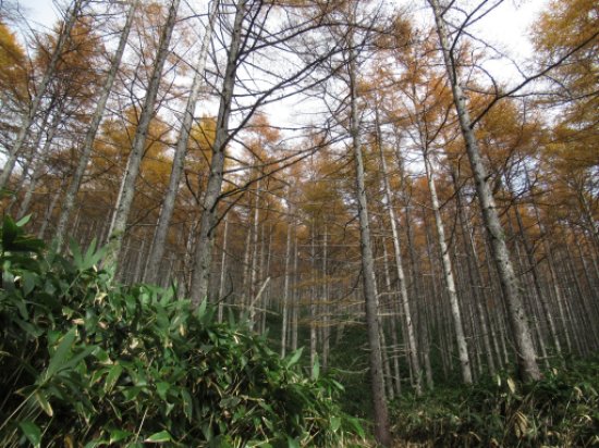 画像18